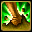 Root